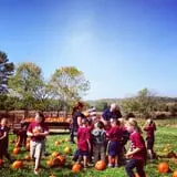 Sunny Acres Farm Pumpkin Festival photo
