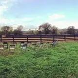 Sunny Acres Farm Pumpkin Festival photo