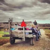 Sunny Acres Farm Pumpkin Festival photo