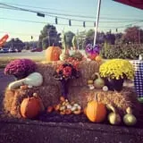 Sunny Acres Farm Pumpkin Festival photo