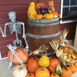 Sunny Acres Farm Pumpkin Festival photo