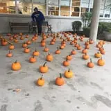 Sunny Acres Farm Pumpkin Festival photo