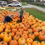 Sunny Acres Farm Pumpkin Festival photo