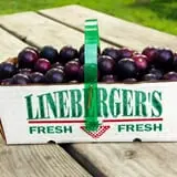 Lineberger's Maple Springs Farm photo