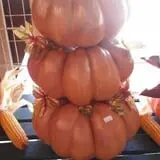 Lineberger's Maple Springs Farm photo