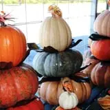 Lineberger's Maple Springs Farm photo