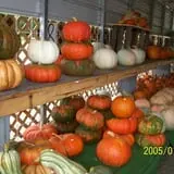 Lineberger's Maple Springs Farm photo