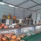 Lineberger's Maple Springs Farm photo