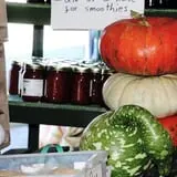 Lineberger's Maple Springs Farm photo