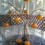 Lineberger's Maple Springs Farm photo