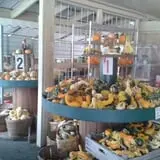Lineberger's Maple Springs Farm photo