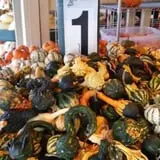 Lineberger's Maple Springs Farm photo