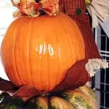 Lineberger's Maple Springs Farm photo