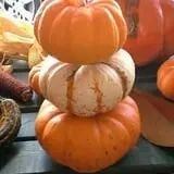 Lineberger's Maple Springs Farm photo