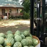 Lineberger's Maple Springs Farm photo