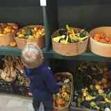 Lineberger's Maple Springs Farm photo