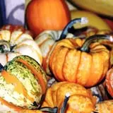 Lineberger's Maple Springs Farm photo
