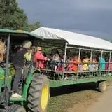 Lineberger's Maple Springs Farm photo