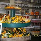 Lineberger's Maple Springs Farm photo