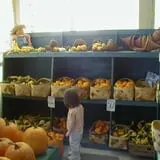Lineberger's Maple Springs Farm photo