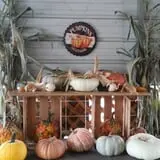 Lineberger's Maple Springs Farm photo