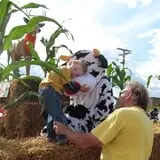 Country Corn Maze photo