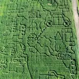 Country Corn Maze photo
