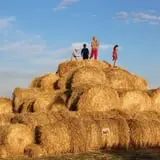 Country Corn Maze photo
