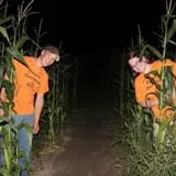 Country Corn Maze photo