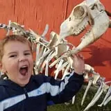 Country Corn Maze photo