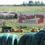 Country Corn Maze photo