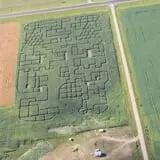 Country Corn Maze photo