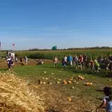 Country Corn Maze photo