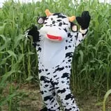 Country Corn Maze photo