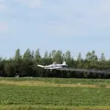 Country Corn Maze photo