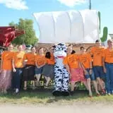 Country Corn Maze photo