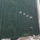 Country Corn Maze photo
