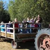 Country Corn Maze photo