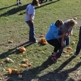 Country Corn Maze photo