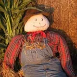 Country Corn Maze photo
