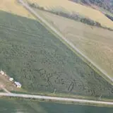 Country Corn Maze photo