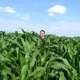 Country Corn Maze photo