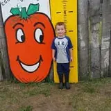 Country Corn Maze photo