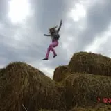 Country Corn Maze photo