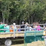 Country Corn Maze photo