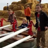 Country Corn Maze photo