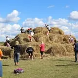 Country Corn Maze photo