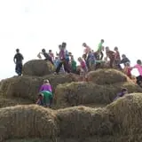 Country Corn Maze photo