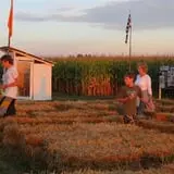 Country Corn Maze photo