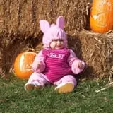 Pleasure Valley Llamas and Pumpkins photo